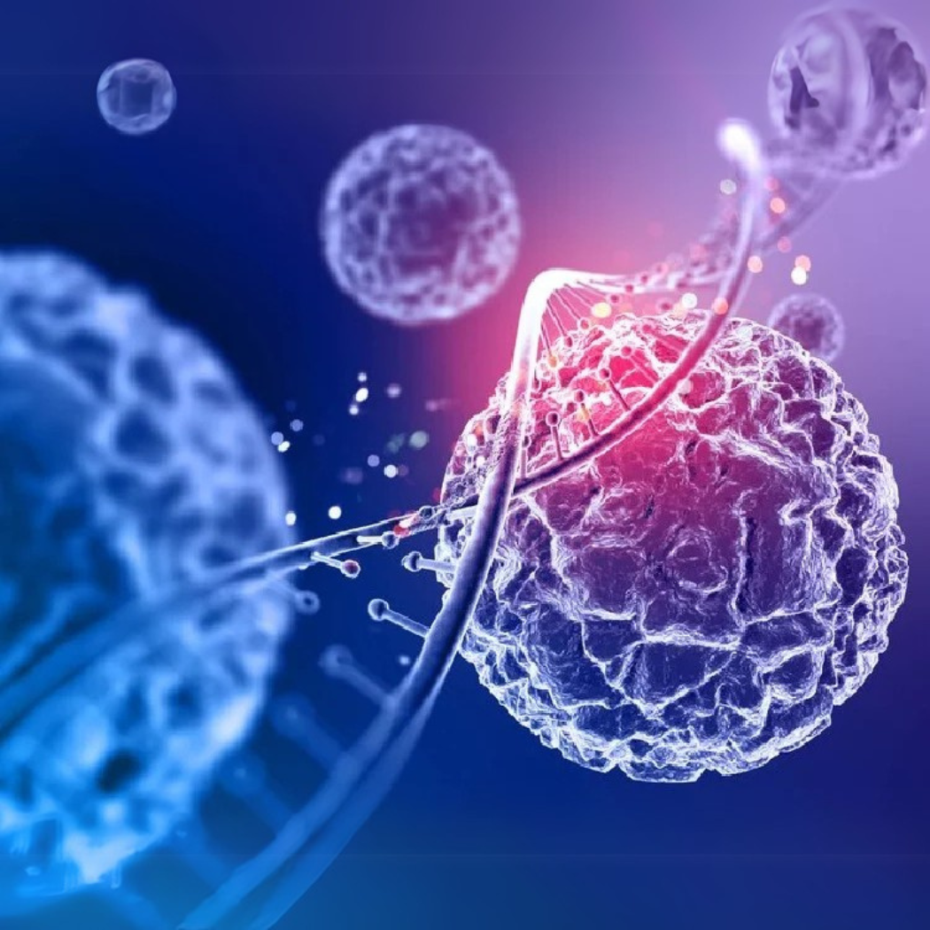 Stem Cell Technology: Rejuvenate Your Skin!